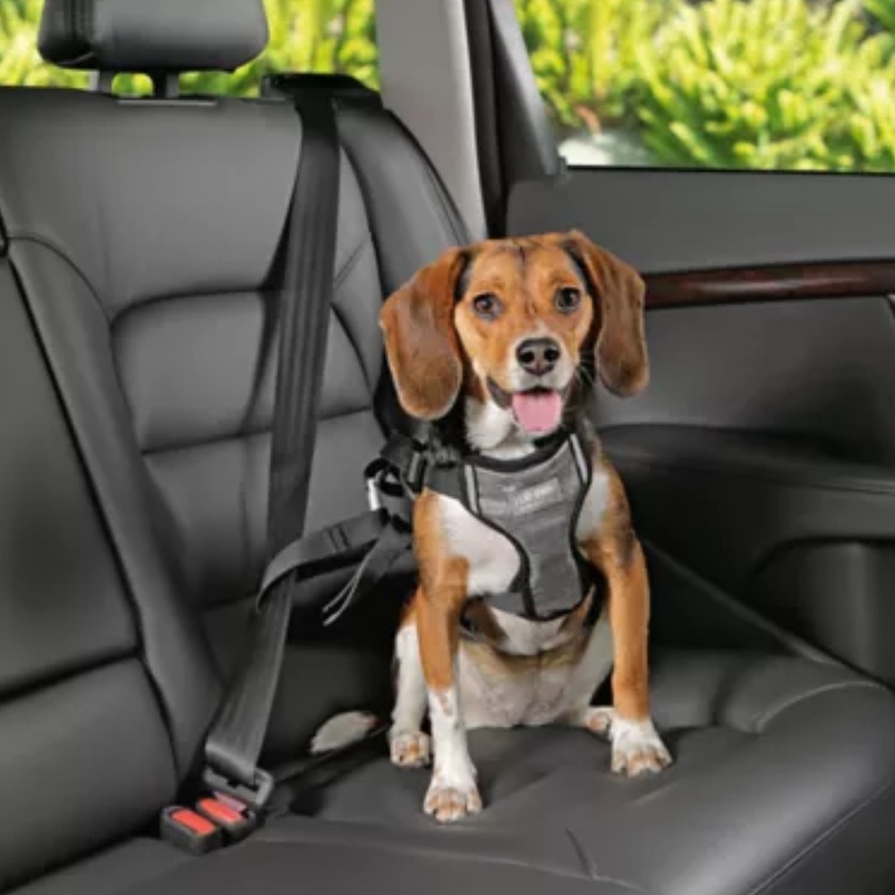 Top Paw Black and Gray Dog Harness